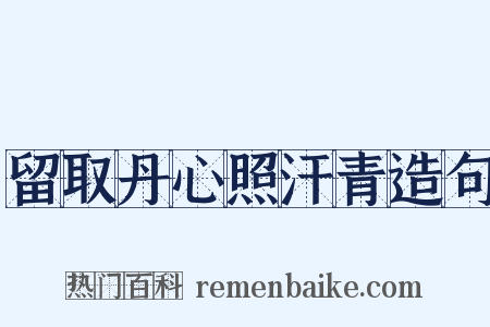留取丹心照汗青造句是什么意思的图片
